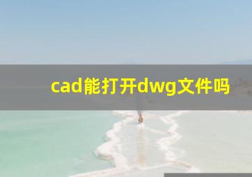 cad能打开dwg文件吗