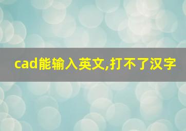 cad能输入英文,打不了汉字