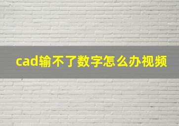 cad输不了数字怎么办视频