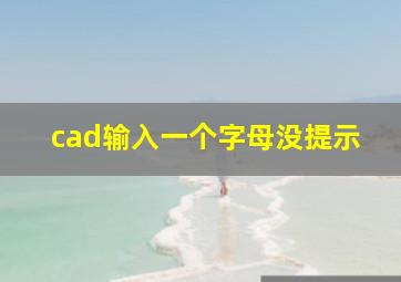 cad输入一个字母没提示