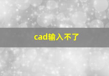 cad输入不了