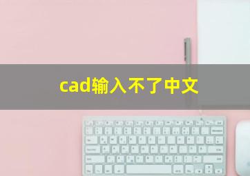 cad输入不了中文