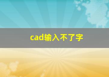 cad输入不了字