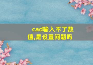 cad输入不了数值,是设置问题吗