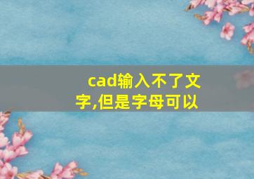 cad输入不了文字,但是字母可以