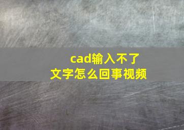 cad输入不了文字怎么回事视频