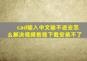 cad输入中文输不进去怎么解决视频教程下载安装不了