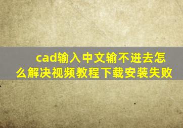 cad输入中文输不进去怎么解决视频教程下载安装失败