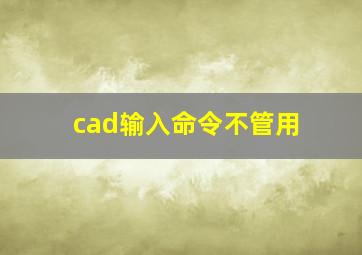 cad输入命令不管用