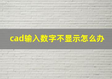 cad输入数字不显示怎么办