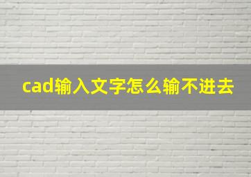 cad输入文字怎么输不进去