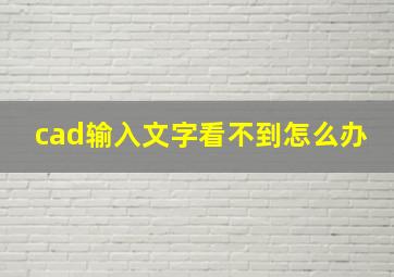 cad输入文字看不到怎么办