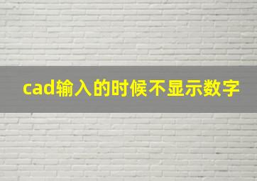 cad输入的时候不显示数字