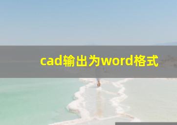 cad输出为word格式