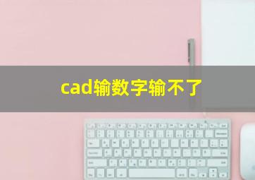 cad输数字输不了