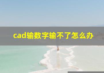 cad输数字输不了怎么办