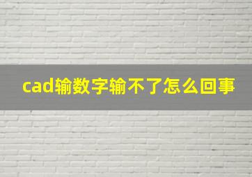 cad输数字输不了怎么回事