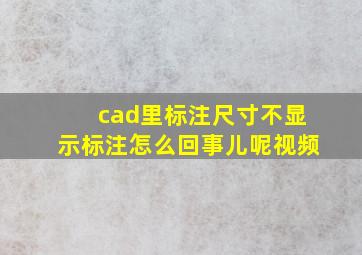 cad里标注尺寸不显示标注怎么回事儿呢视频