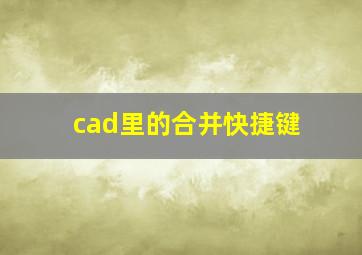 cad里的合并快捷键