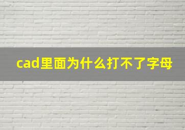 cad里面为什么打不了字母