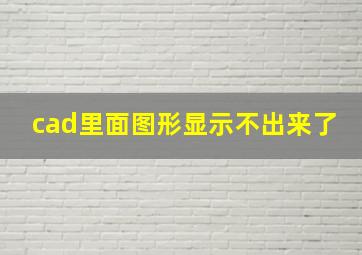 cad里面图形显示不出来了