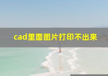 cad里面图片打印不出来