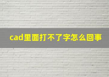 cad里面打不了字怎么回事