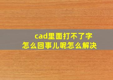 cad里面打不了字怎么回事儿呢怎么解决