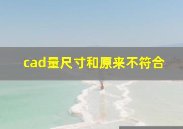 cad量尺寸和原来不符合