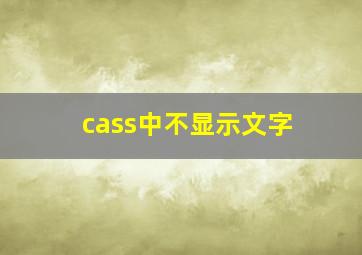 cass中不显示文字