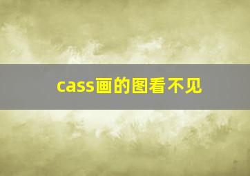 cass画的图看不见