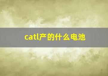 catl产的什么电池