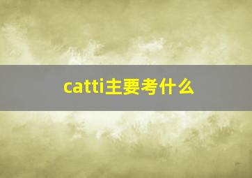 catti主要考什么