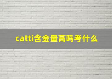 catti含金量高吗考什么