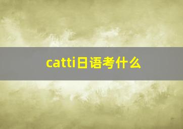 catti日语考什么