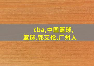 cba,中国篮球,篮球,郭艾伦,广州人