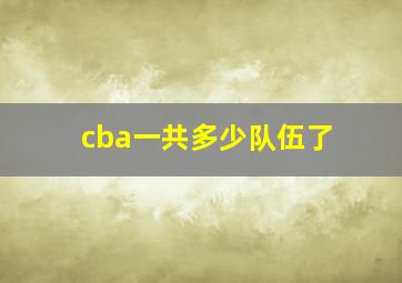 cba一共多少队伍了