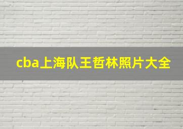 cba上海队王哲林照片大全