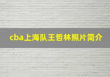 cba上海队王哲林照片简介