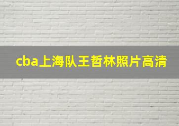 cba上海队王哲林照片高清