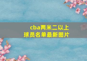 cba两米二以上球员名单最新图片