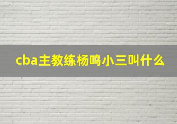 cba主教练杨鸣小三叫什么