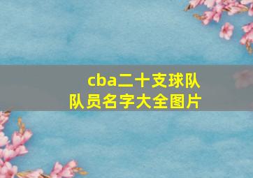 cba二十支球队队员名字大全图片