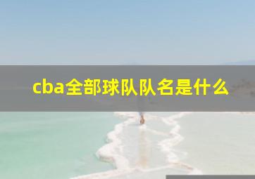 cba全部球队队名是什么