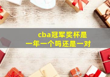 cba冠军奖杯是一年一个吗还是一对