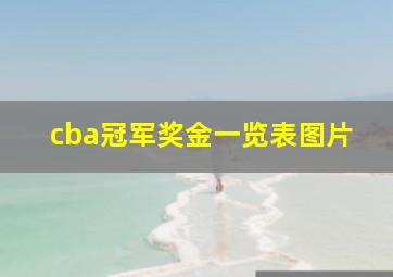 cba冠军奖金一览表图片