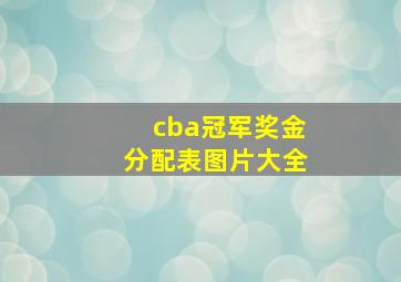 cba冠军奖金分配表图片大全