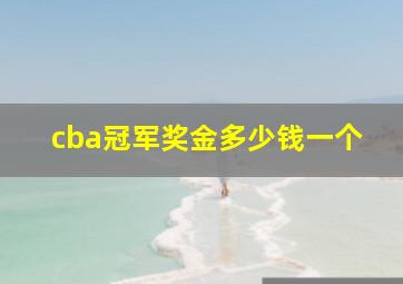 cba冠军奖金多少钱一个