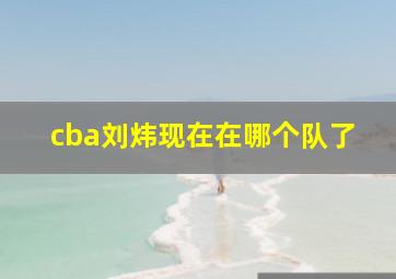 cba刘炜现在在哪个队了