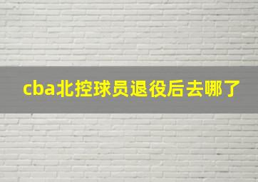 cba北控球员退役后去哪了